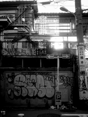 shibuya winter photos 2014 #19