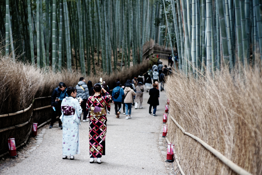 Kyoto Trip Snap #80