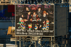 shibuya winter photos 2014 #32