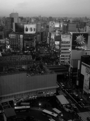 shibuya winter photos 2014 #21