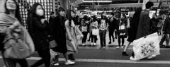 Shinjuku Hi-Fi #12