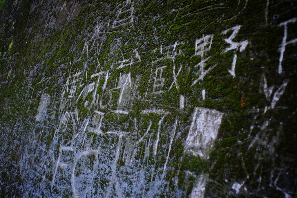 Memories of Kichijyoji #52
