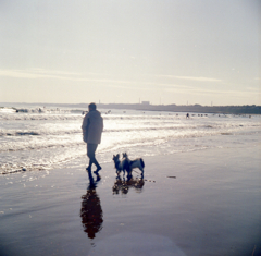 Ricohflex Ⅶ #12