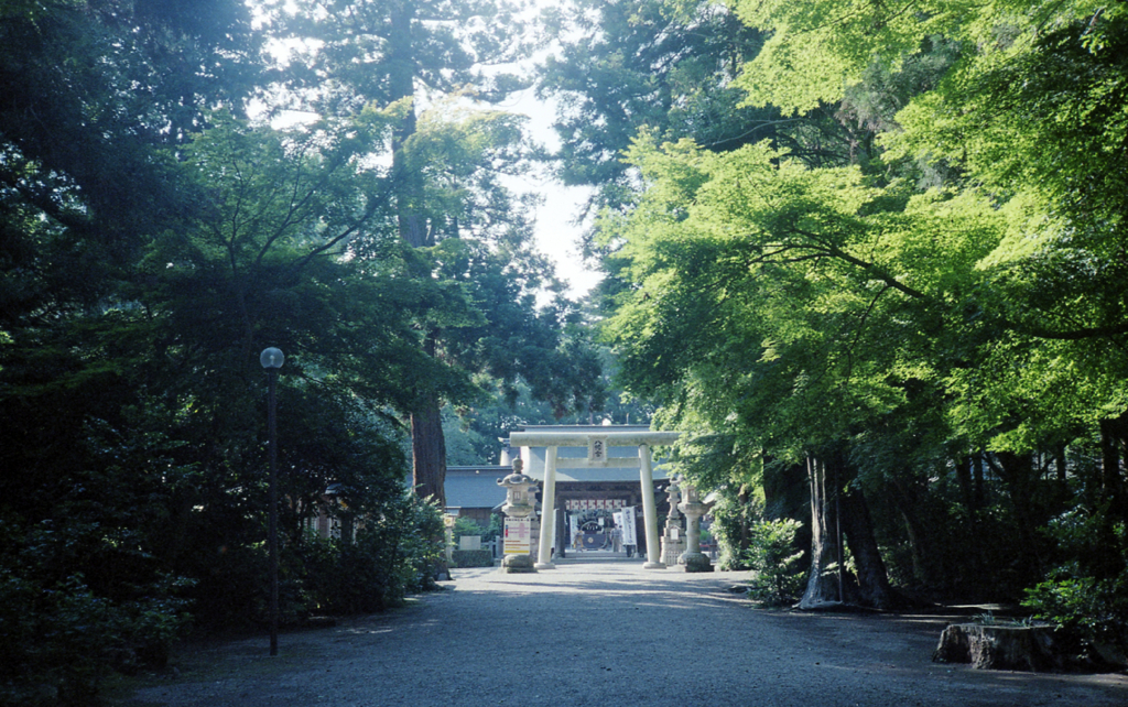 YASHICA ELECTRO 35 MC #19