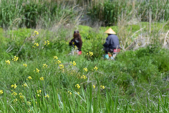 とある暖春の一日 #04