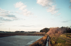 Rollei Flash 35 #10