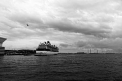 Yokohama snapshot #21