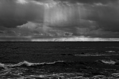 in the castle of rose #182