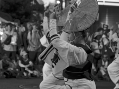 Vibrant Dancer #4