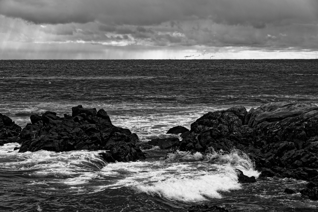 in the castle of rose #181