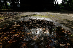 西蓮寺 #4
