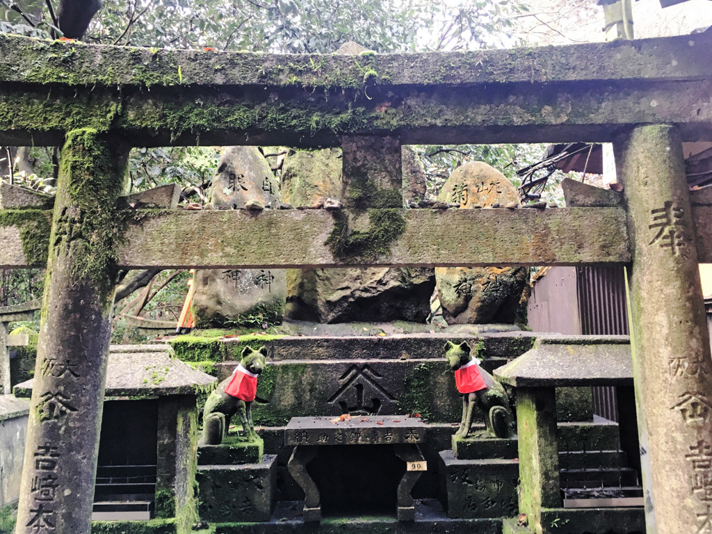 Kyoto Trip Snap #29