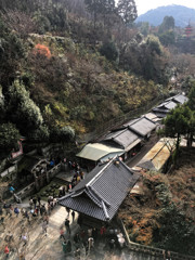 Kyoto Trip Snap #11