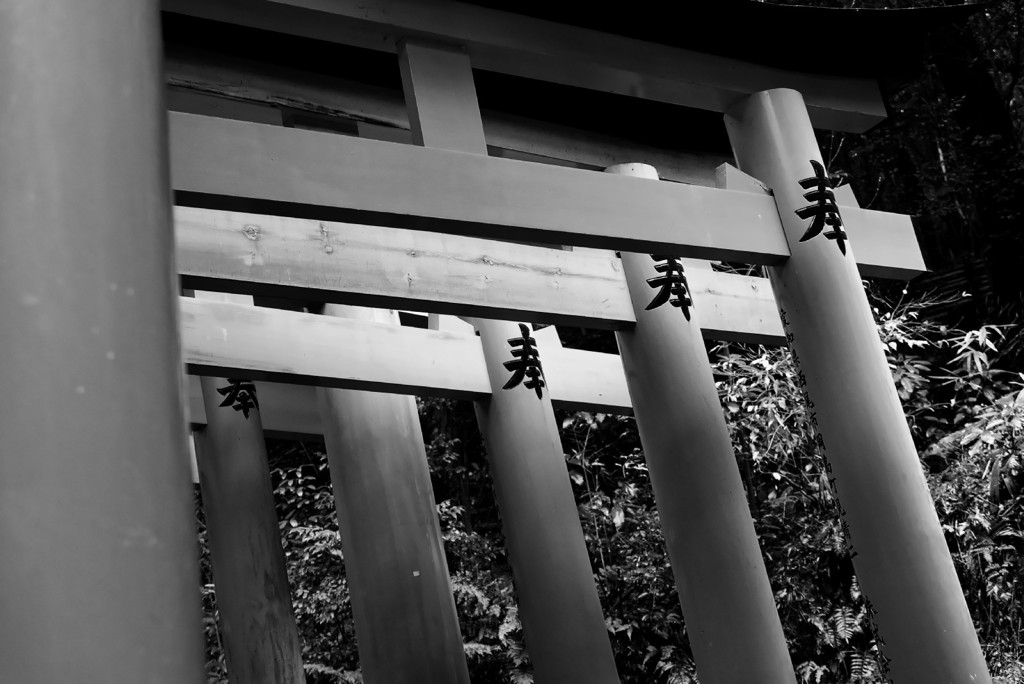 Kyoto Trip Snap #19