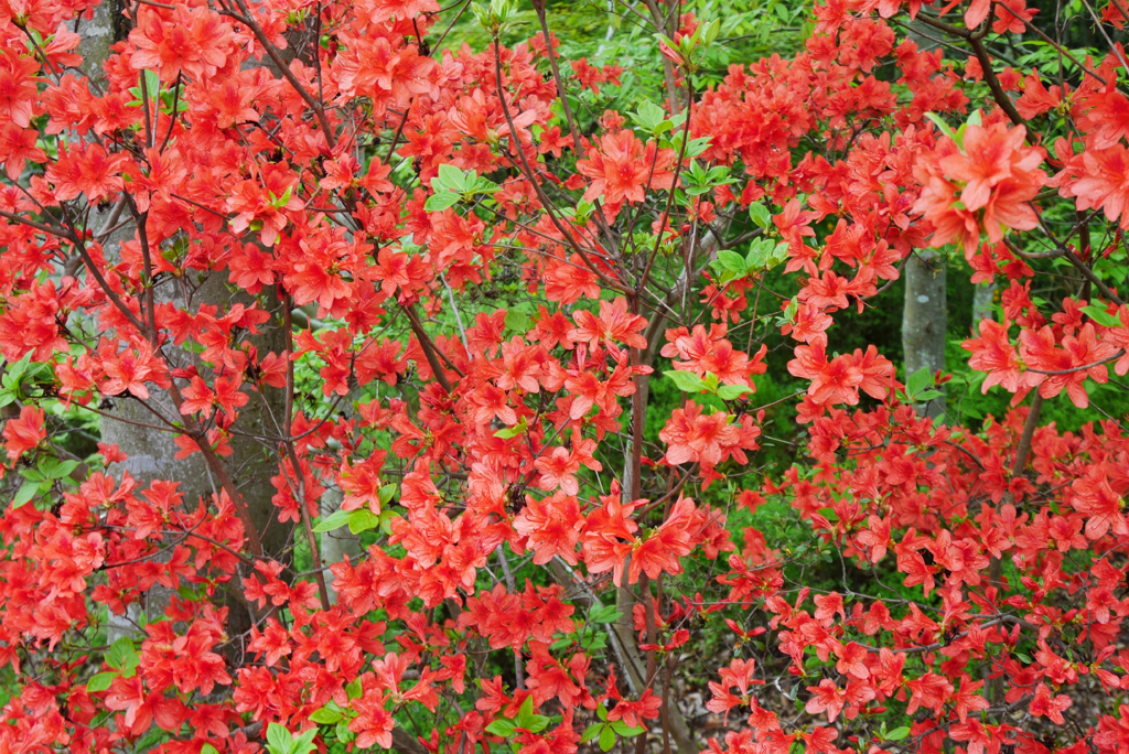 saturated colors　#06
