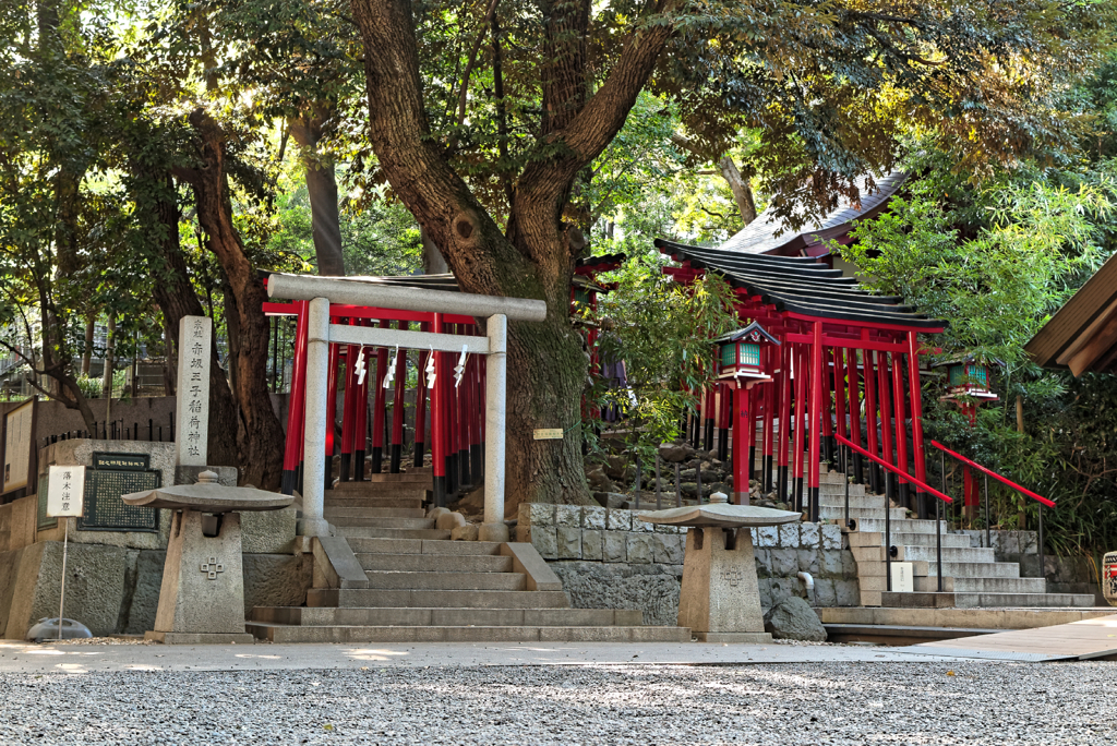 アルクホットスウェット #7