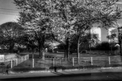 Rail Road Movies #21