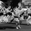 Vibrant Dancer #2