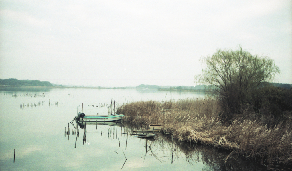yashica35 #6
