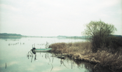 yashica35 #6