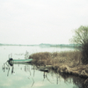 yashica35 #6
