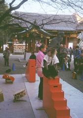 Asakusa camera #33