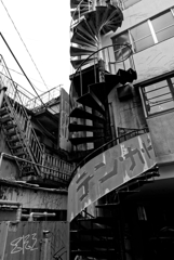 in the castle of rose #14