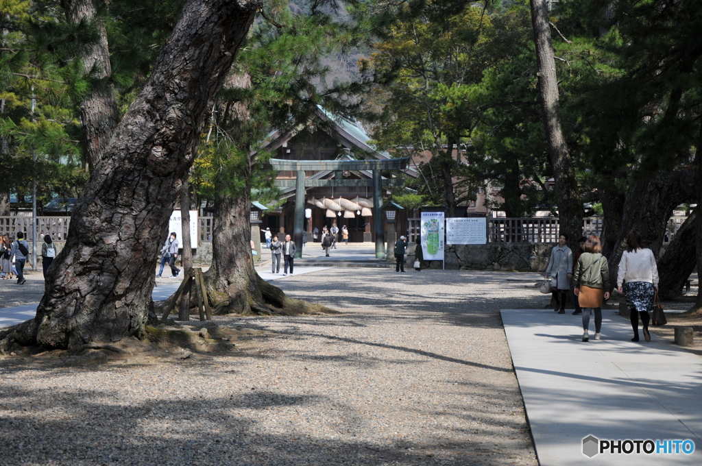 境港・出雲No.10