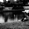 Hiroshima97広島『平和』