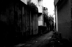 Tokyo637-早稲田 『裏路地』