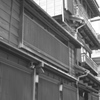 Tokyo113