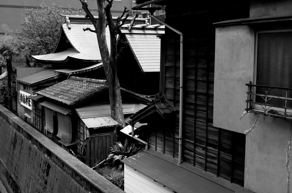 Tokyo198