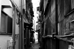 Tokyo208