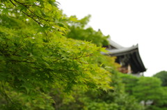 Kyoto9