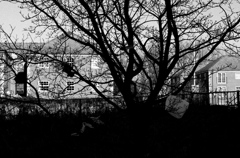 Northampton87