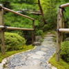 Kyoto8