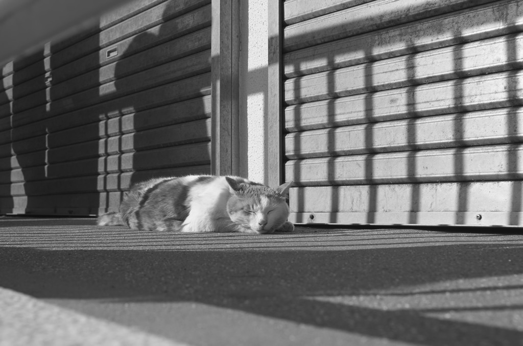 Trip to Kamakura12