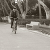 Mallorca49
