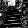 Tokyo887-新宿 『旧陸軍戸山軍医学校跡』