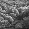 Tokyo117