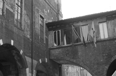 Milan50