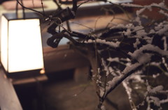 Kyoto12