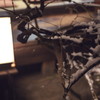 Kyoto12
