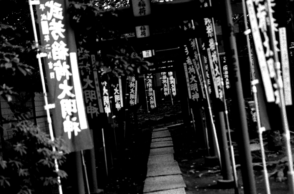 Tokyo896-雑司ヶ谷 『鳥居』