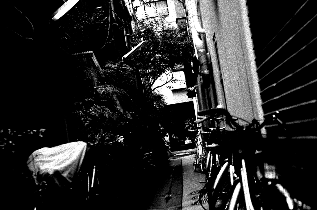 Tokyo832-八丁堀 『路地』