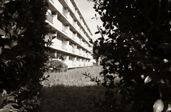 Tokyo243
