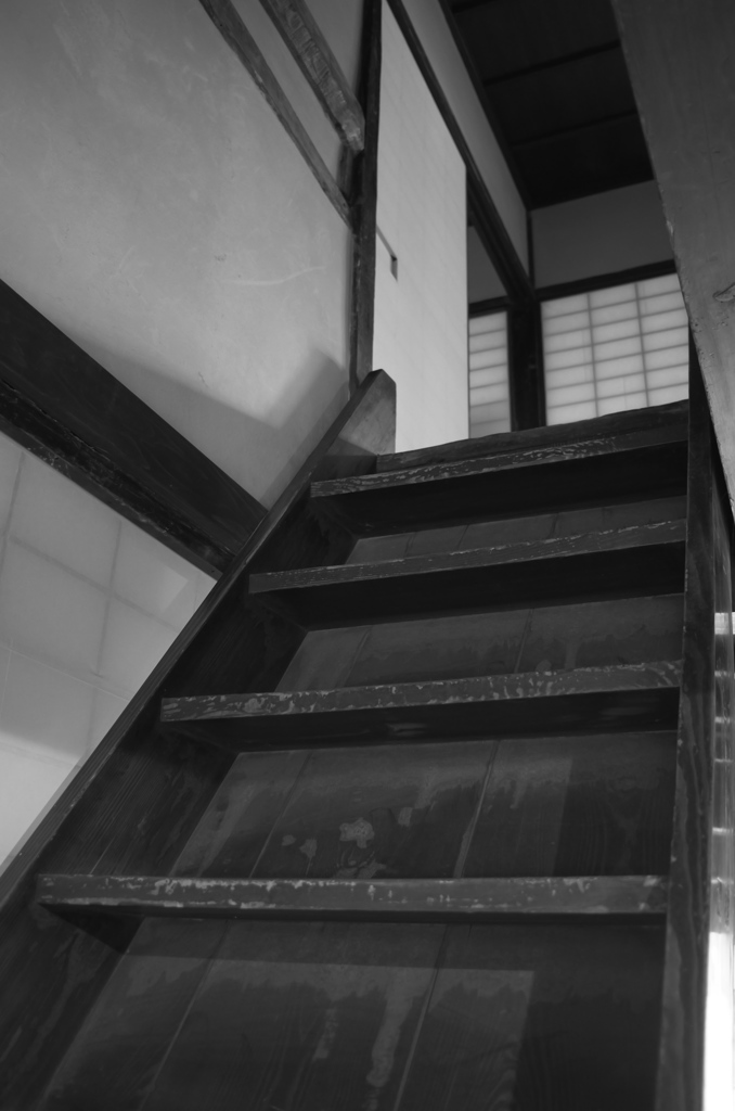 Tokyo35
