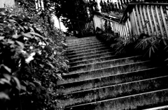 Tokyo869-渋谷区本町 『階段』
