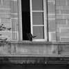Paris57