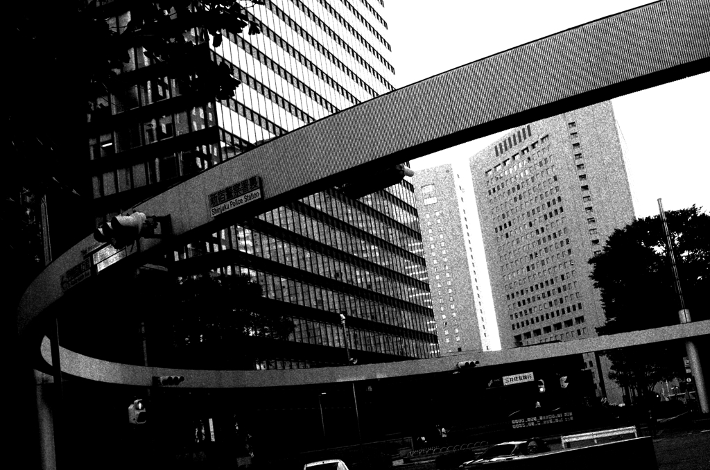 Tokyo1058-新宿『輪』